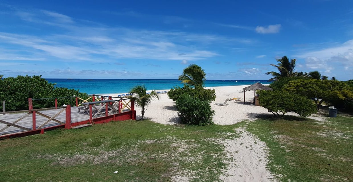 73145637_2390044967916327_5758116182477504512_n