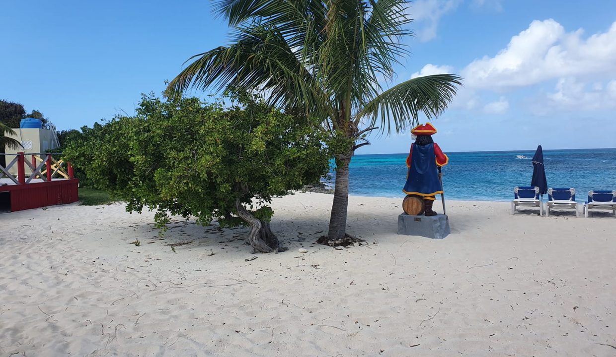 87902913_2505978282989661_1654176567808491520_n