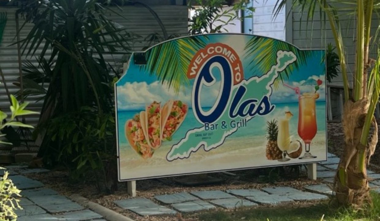 Captura de pantalla 2025-05-10 040538