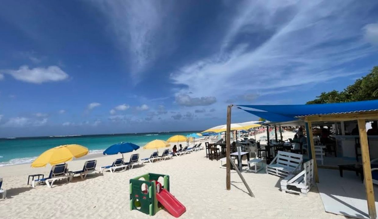 Captura de pantalla 2025-05-10 040731