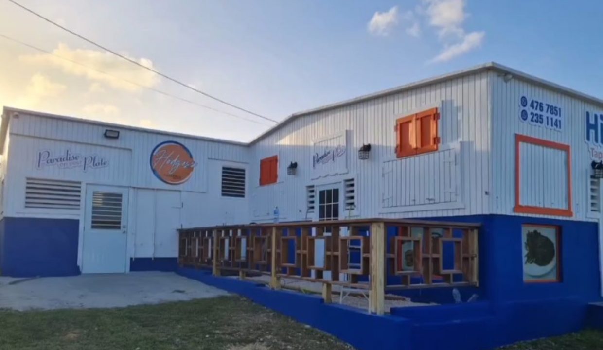 Captura de pantalla 2025-05-13 172121