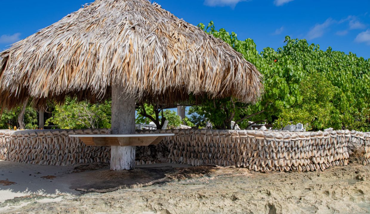 WhatsApp-Image-2023-12-28-at-1.26.47-AM-1