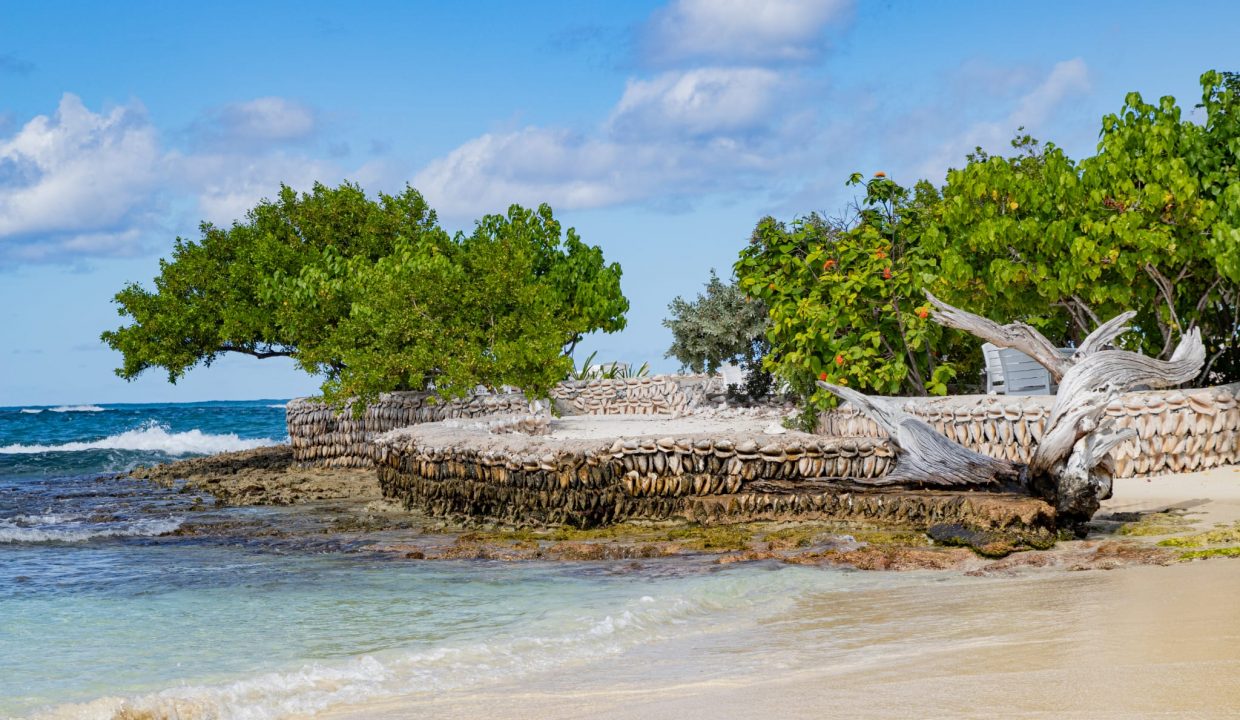 WhatsApp-Image-2023-12-28-at-1.26.47-AM-2