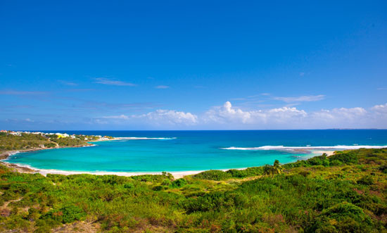 birdofparadise_beach4