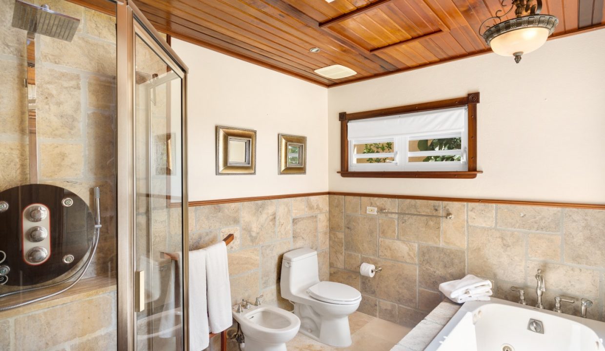 villa-nirvana-2013-21